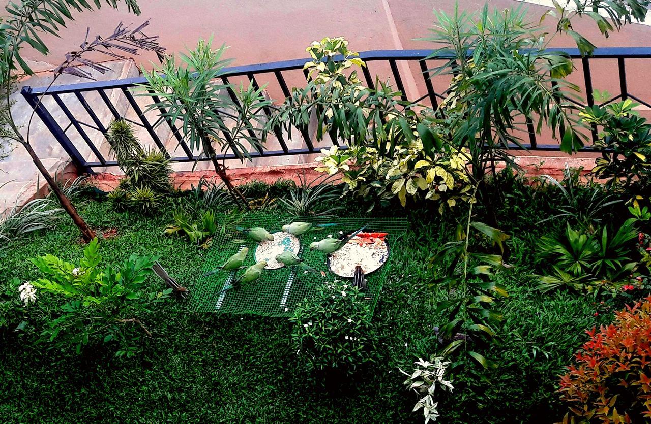 Saru Holiday Apartment - Up To 6 Guests Kandy Luaran gambar